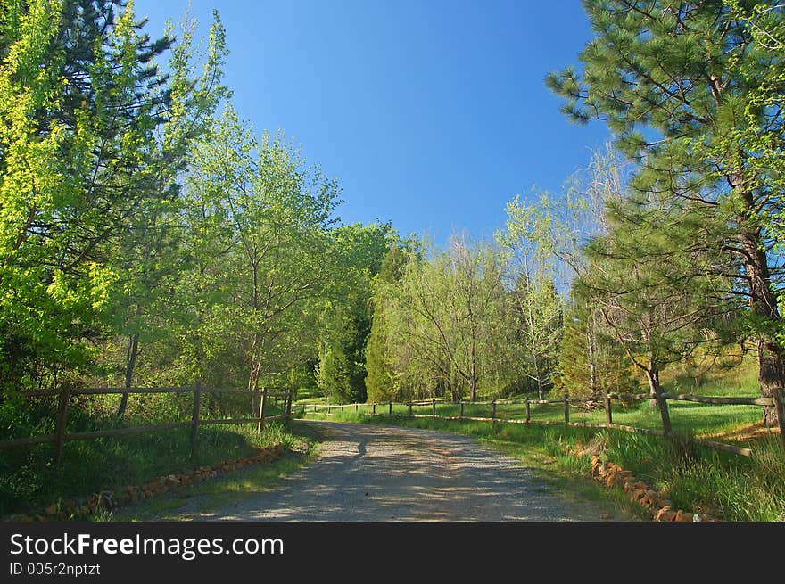 Spring countryside