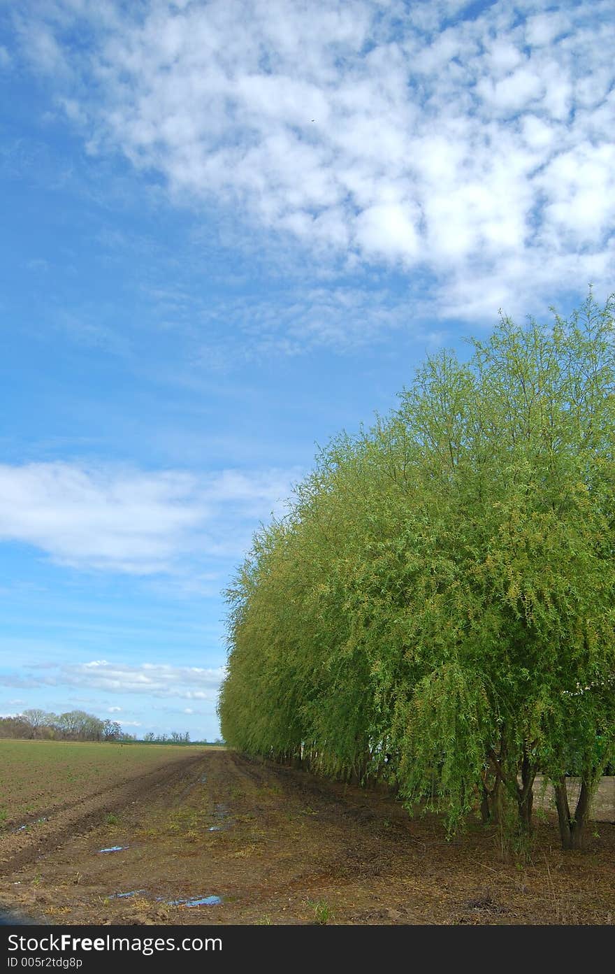 The countryside of northern California in springtime. The countryside of northern California in springtime