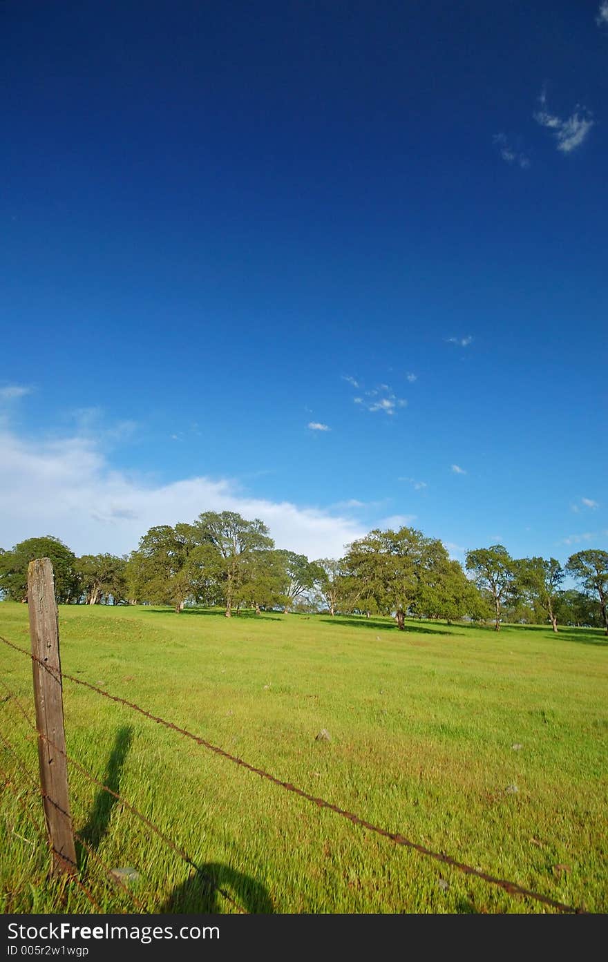 The countryside of northern California in springtime. The countryside of northern California in springtime