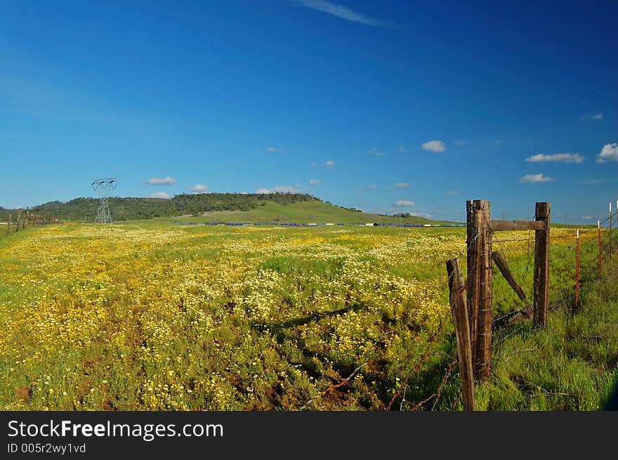 The countryside of northern California in springtime. The countryside of northern California in springtime