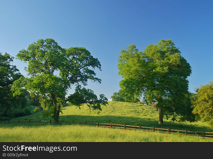 The countryside of northern California in springtime. The countryside of northern California in springtime