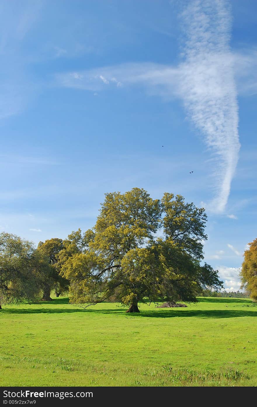 The countryside of northern California in springtime. The countryside of northern California in springtime