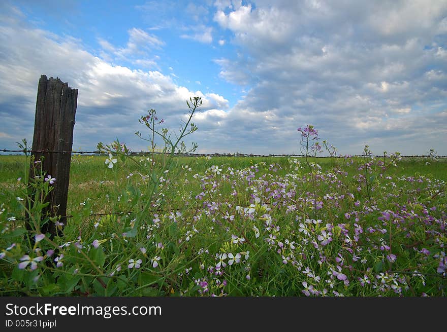 The countryside of northern California in springtime. The countryside of northern California in springtime