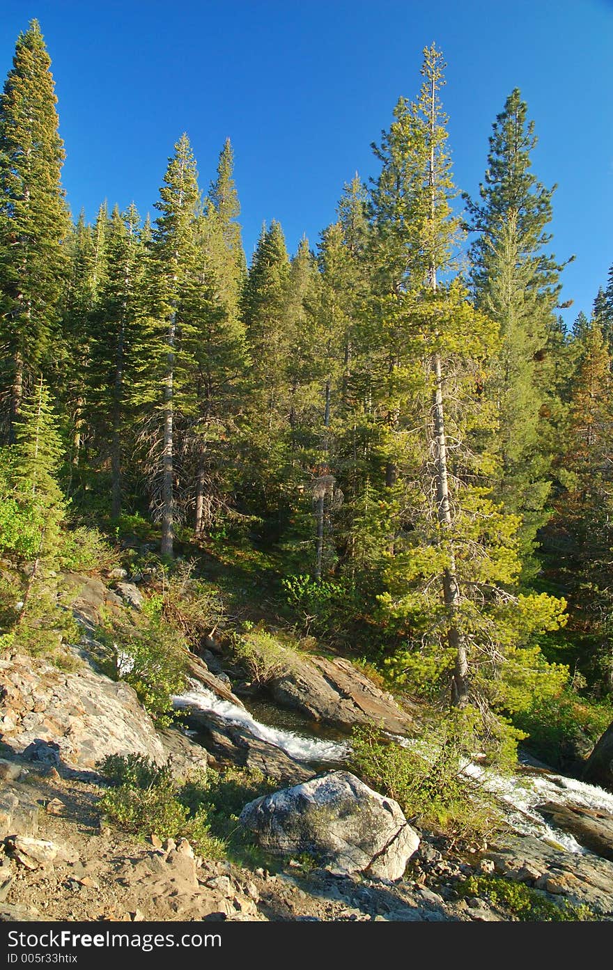 Alpine Scenery in the Northern Sierra near Lake Tahoe. Alpine Scenery in the Northern Sierra near Lake Tahoe