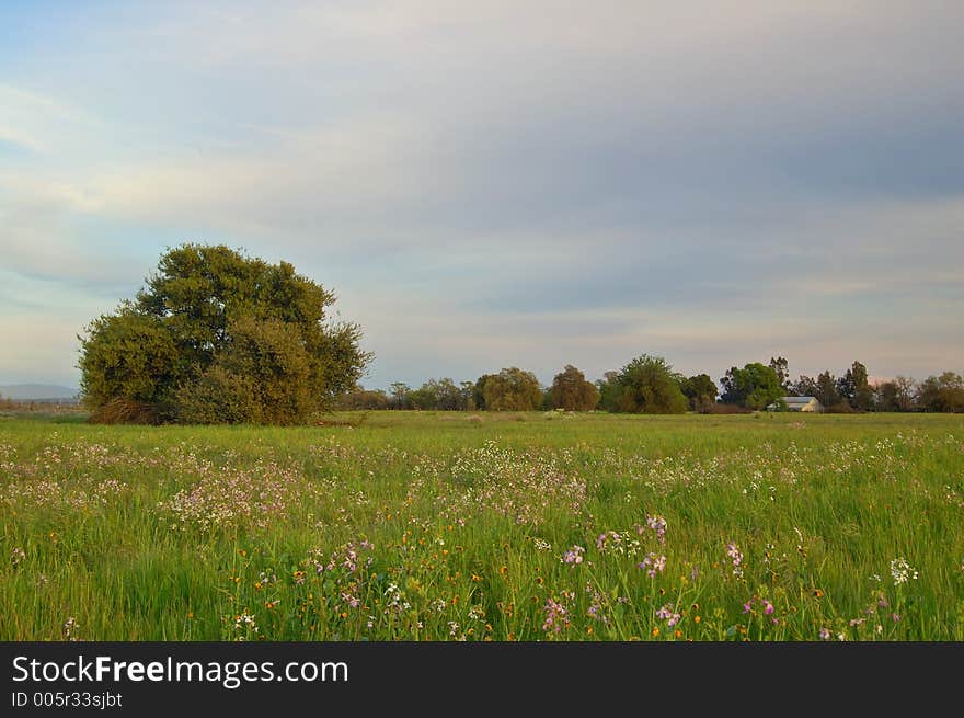 The countryside of northern California in springtime. The countryside of northern California in springtime