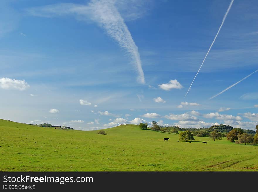 The countryside of northern California in springtime. The countryside of northern California in springtime