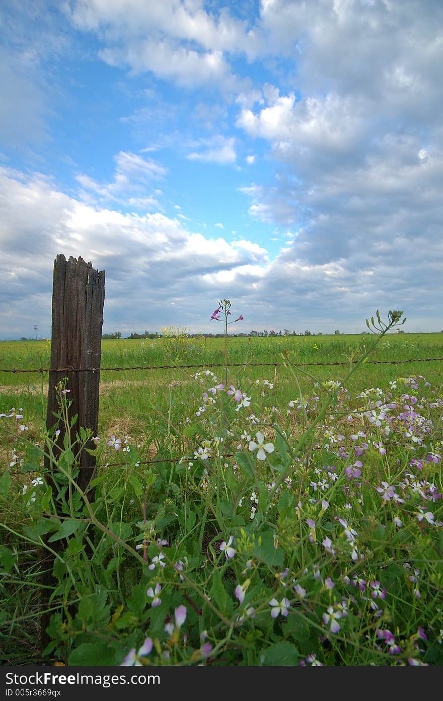 The countryside of northern California in springtime. The countryside of northern California in springtime