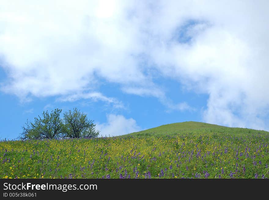 The countryside of northern California in springtime. The countryside of northern California in springtime