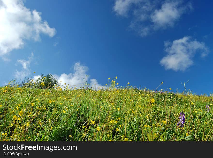 The countryside of northern California in springtime. The countryside of northern California in springtime