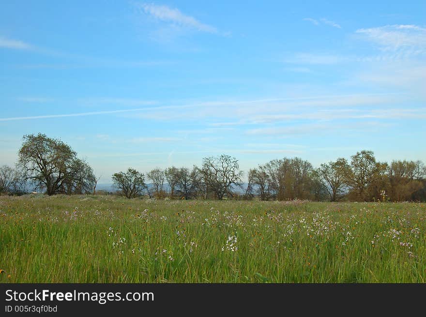 The countryside of northern California in springtime. The countryside of northern California in springtime