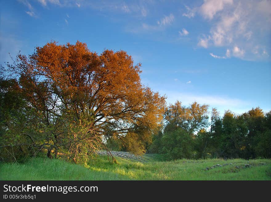 The countryside of northern California in springtime. The countryside of northern California in springtime