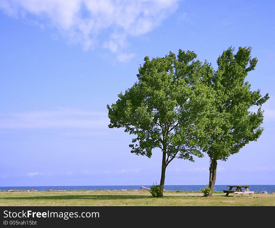 A couple of trees beside a lake with a picnic table inviting a lovely peaceful lunch. A couple of trees beside a lake with a picnic table inviting a lovely peaceful lunch