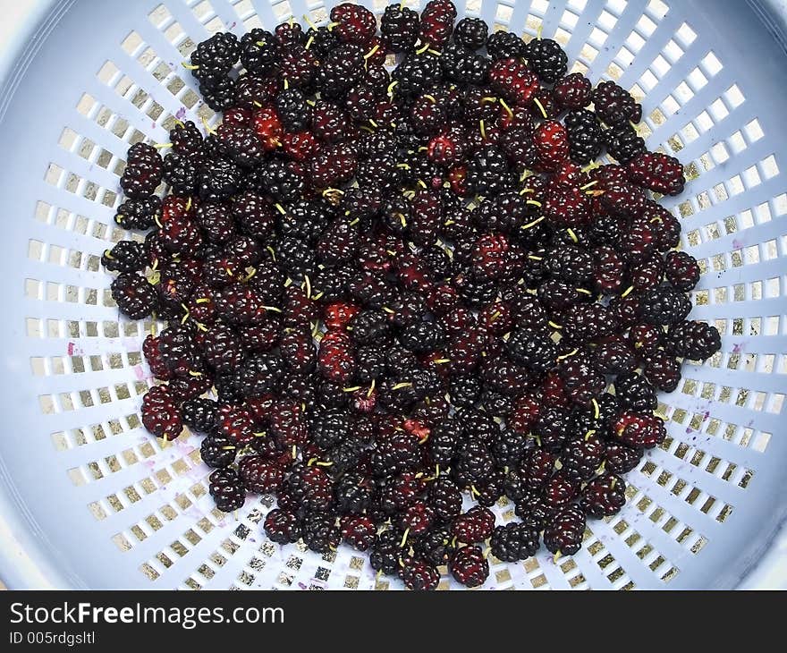 A close-up of blackberries in a colander after being rinsed. A close-up of blackberries in a colander after being rinsed.