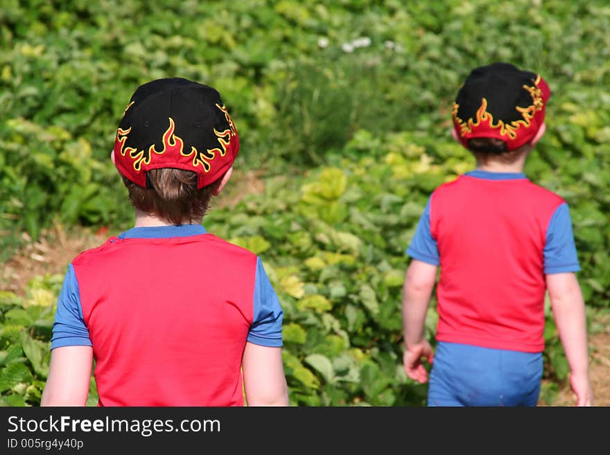 Two brothers in a strawberry field. Two brothers in a strawberry field