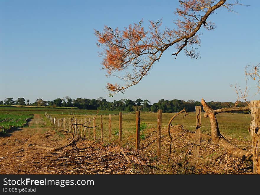 A fence in a farm