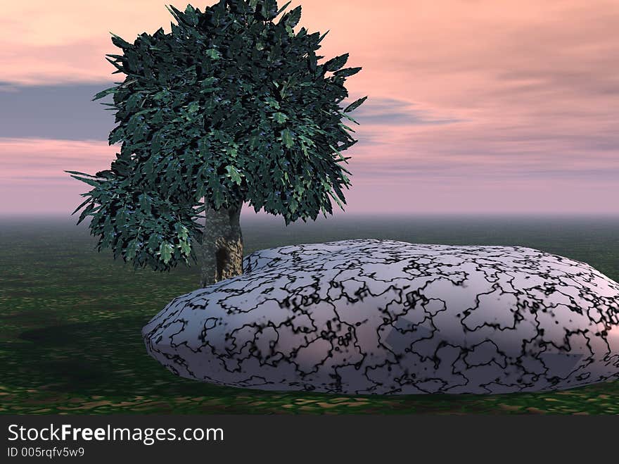 Elm tree beside white marble stone. Elm tree beside white marble stone