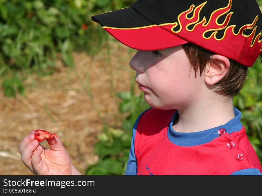 Boy Enjoying A Strawberry3