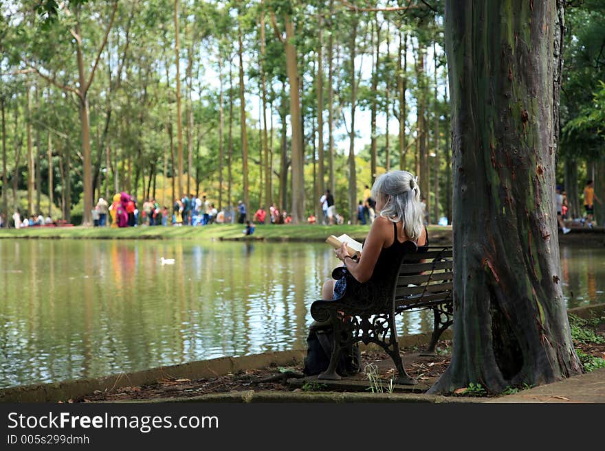 Old woman studying in the park. Old woman studying in the park