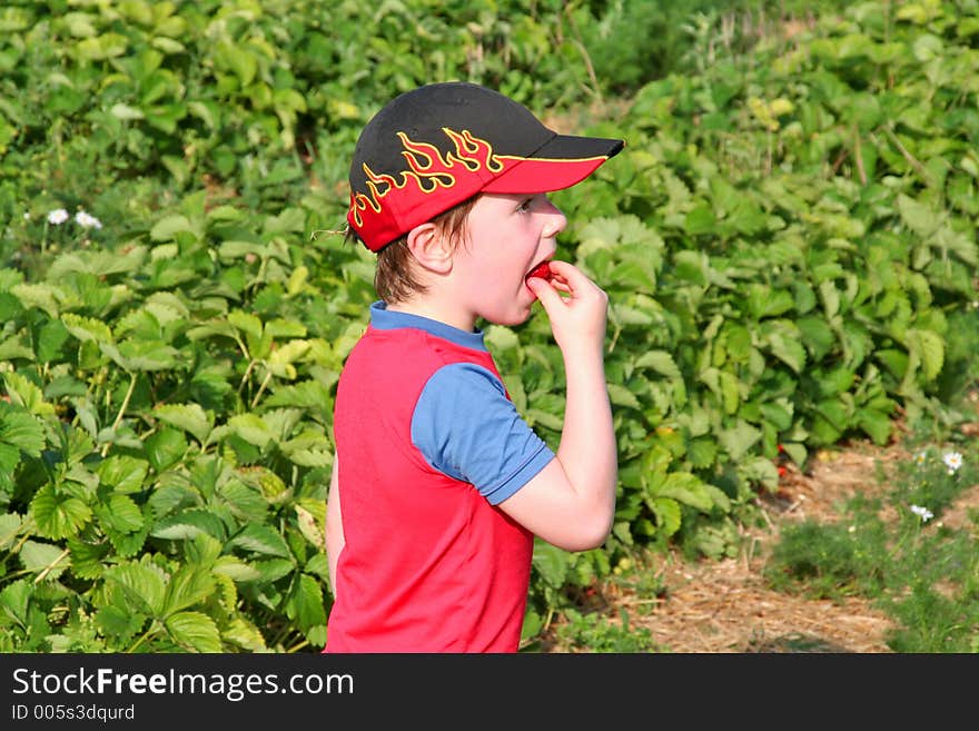 Boy enjoying a strawberry4