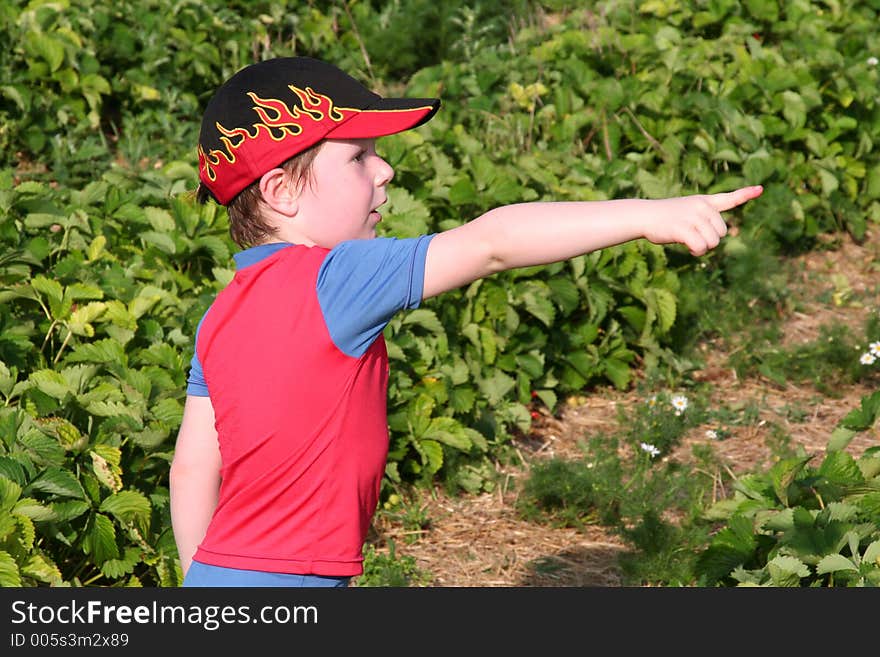 Boy in a strawberry field pointing at...?. Boy in a strawberry field pointing at...?