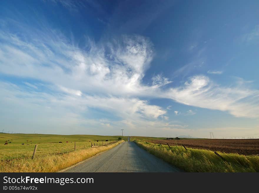 Rural farm field. Rural farm field