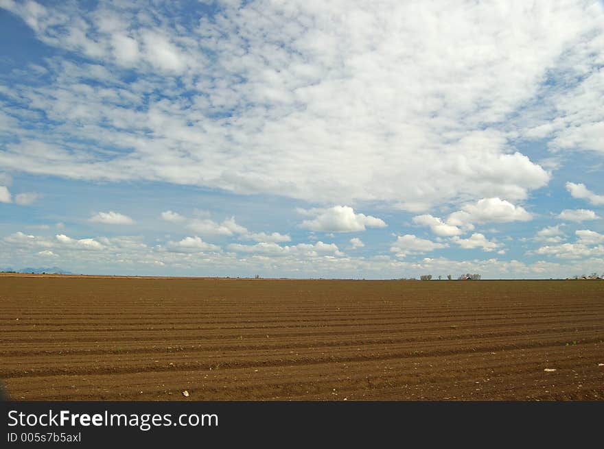 Agricultural Field