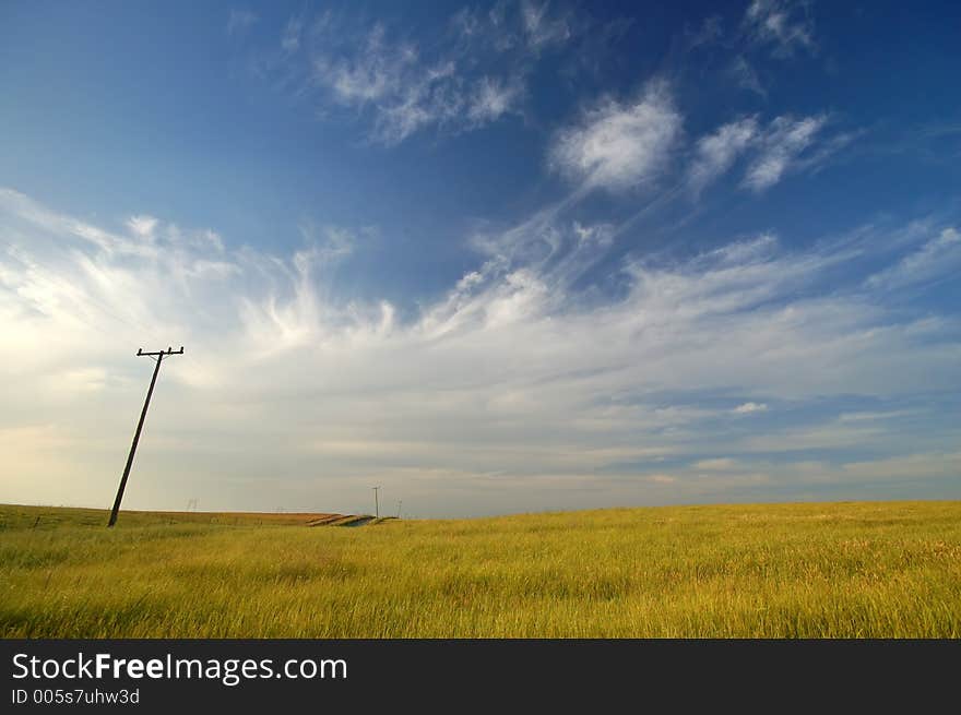 Rural farm field. Rural farm field