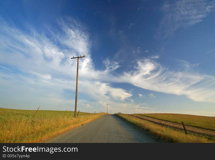 Rural farm field. Rural farm field