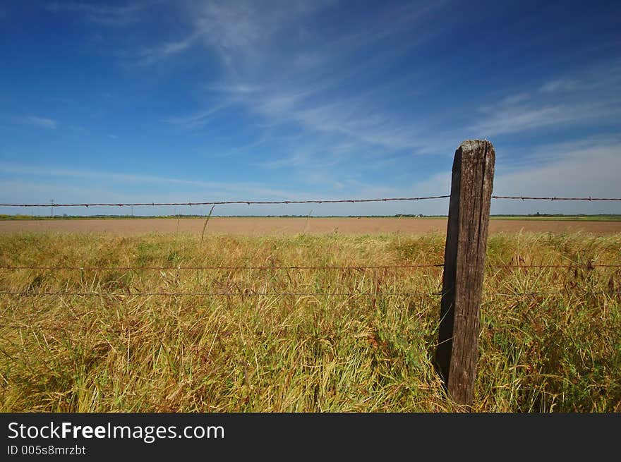 Agricultural field