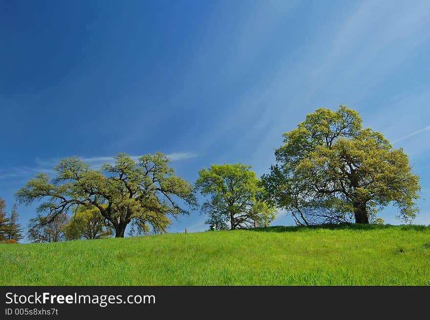 The countryside of northern California in springtime. The countryside of northern California in springtime