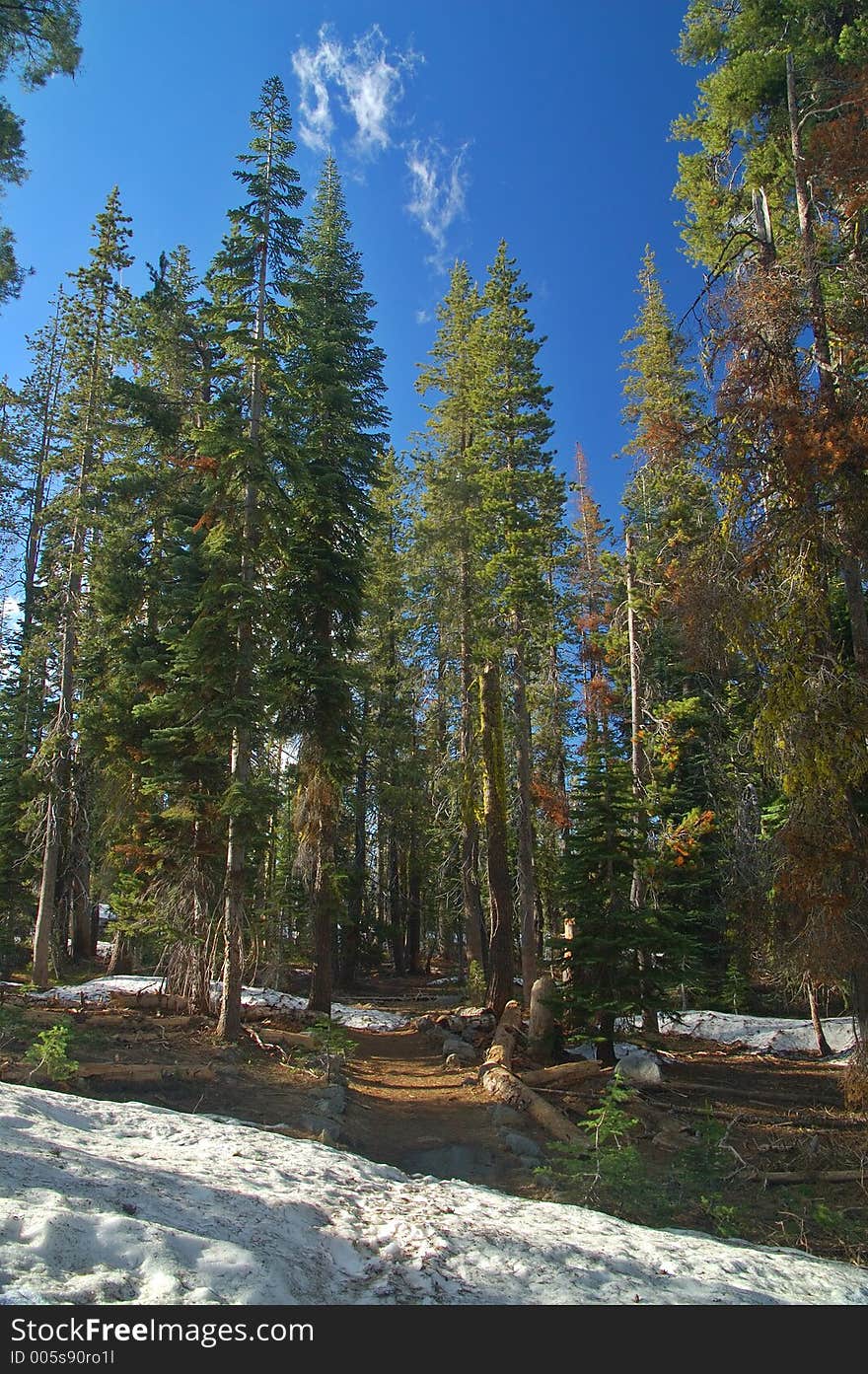 Alpine Scenery in the Northern Sierra near Lake Tahoe. Alpine Scenery in the Northern Sierra near Lake Tahoe