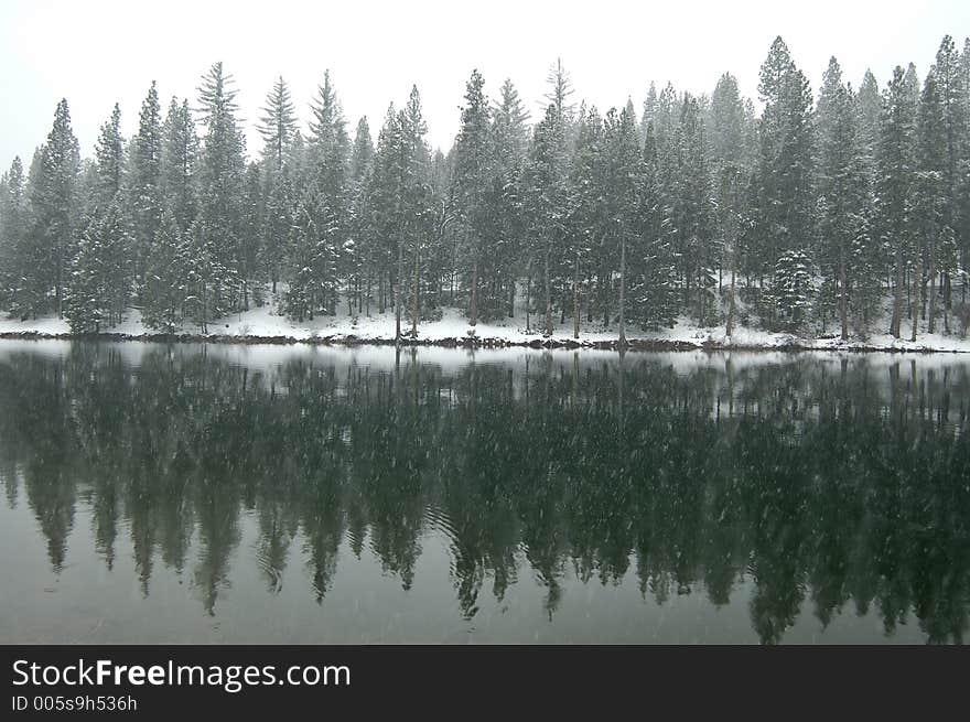 Wintery afternoon by the lakeshore. Wintery afternoon by the lakeshore