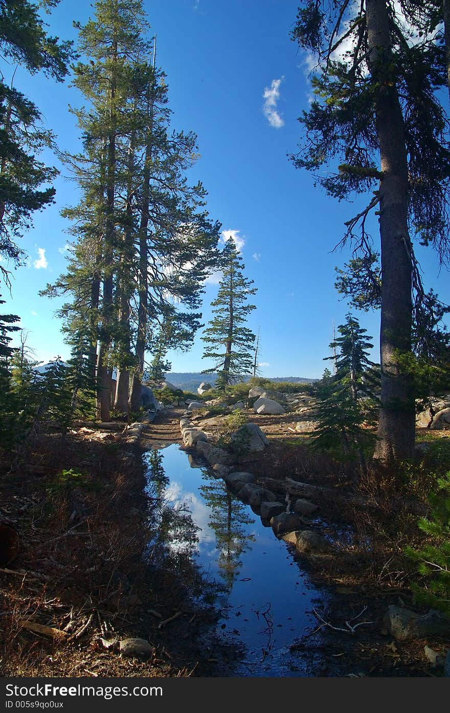 Alpine Scenery in the Northern Sierra near Lake Tahoe. Alpine Scenery in the Northern Sierra near Lake Tahoe