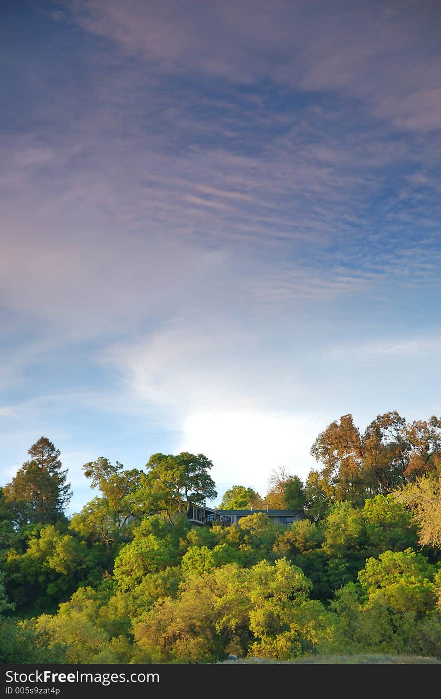 The countryside of northern California in springtime. The countryside of northern California in springtime