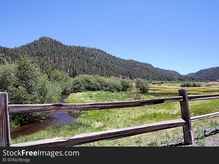 Mountain Stream