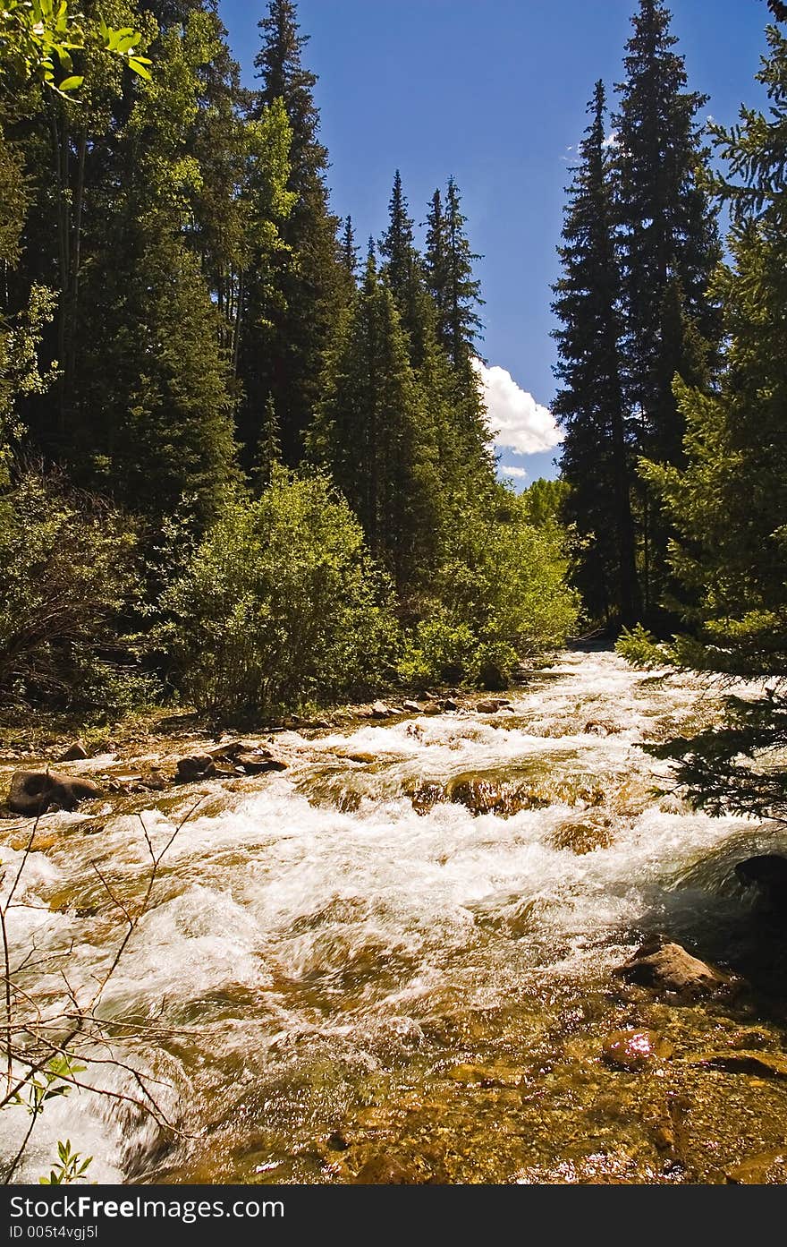 Rushing Mountain Stream