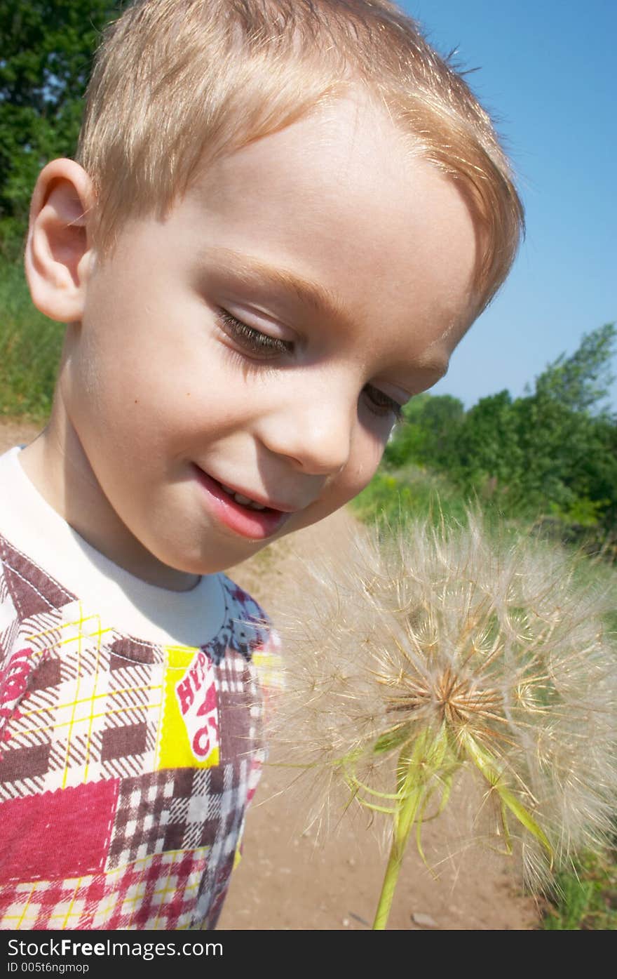 Child looking at big blowball.