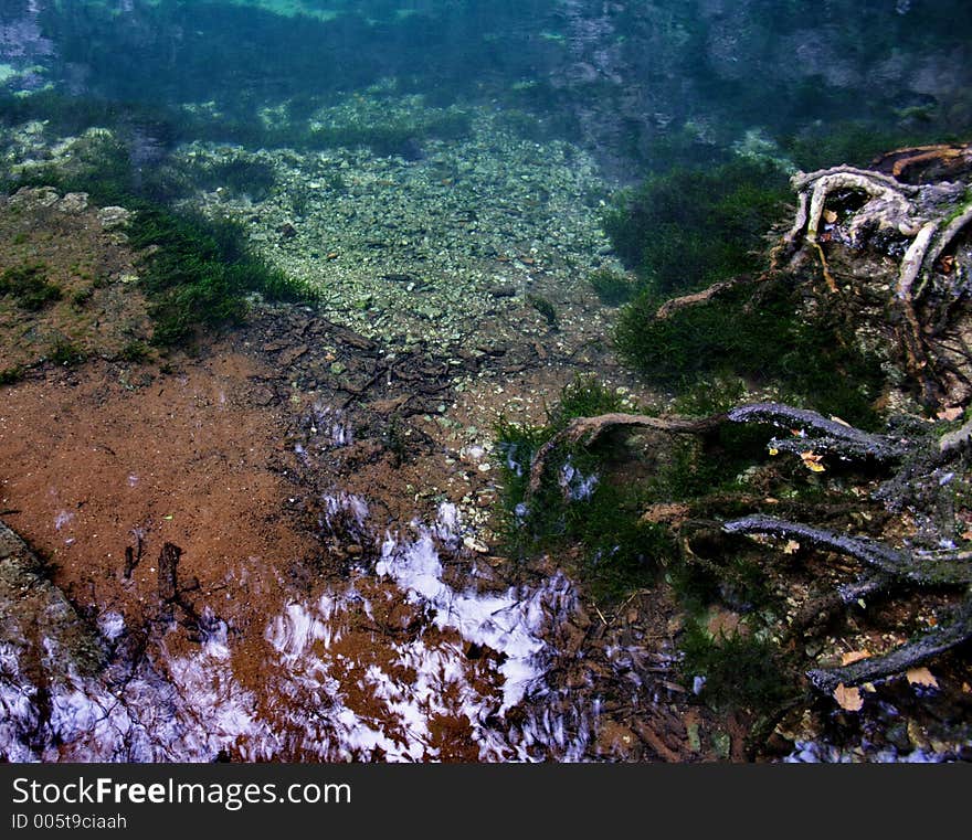 Shor very close to the suface at the spring. Shor very close to the suface at the spring