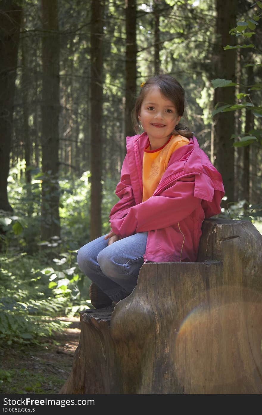 Girls playing on a tree stump with a seet in it. Girls playing on a tree stump with a seet in it