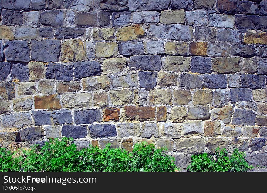 Stone wall with a green grass. Stone wall with a green grass