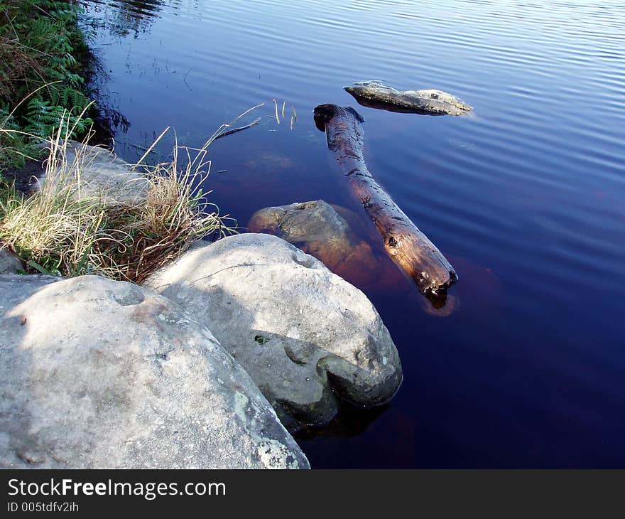 Edge of lake. Edge of lake