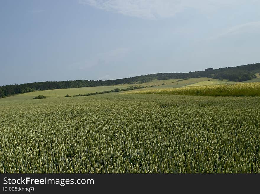 Nature, argricultural photography. Nature, argricultural photography