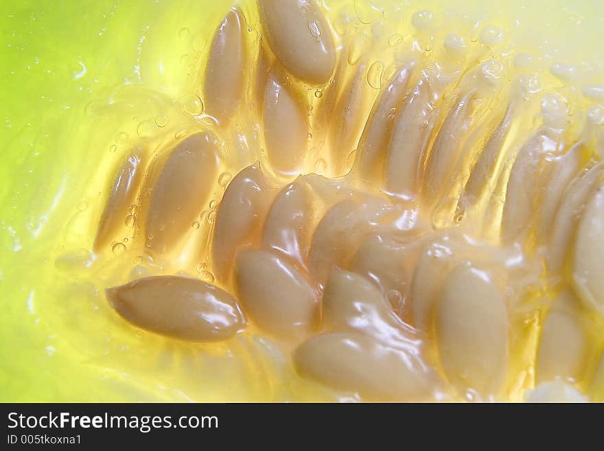 Melon Seeds