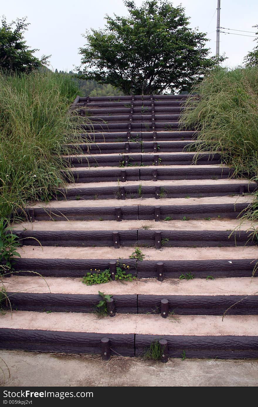 Concrete stairs with wood in the nature