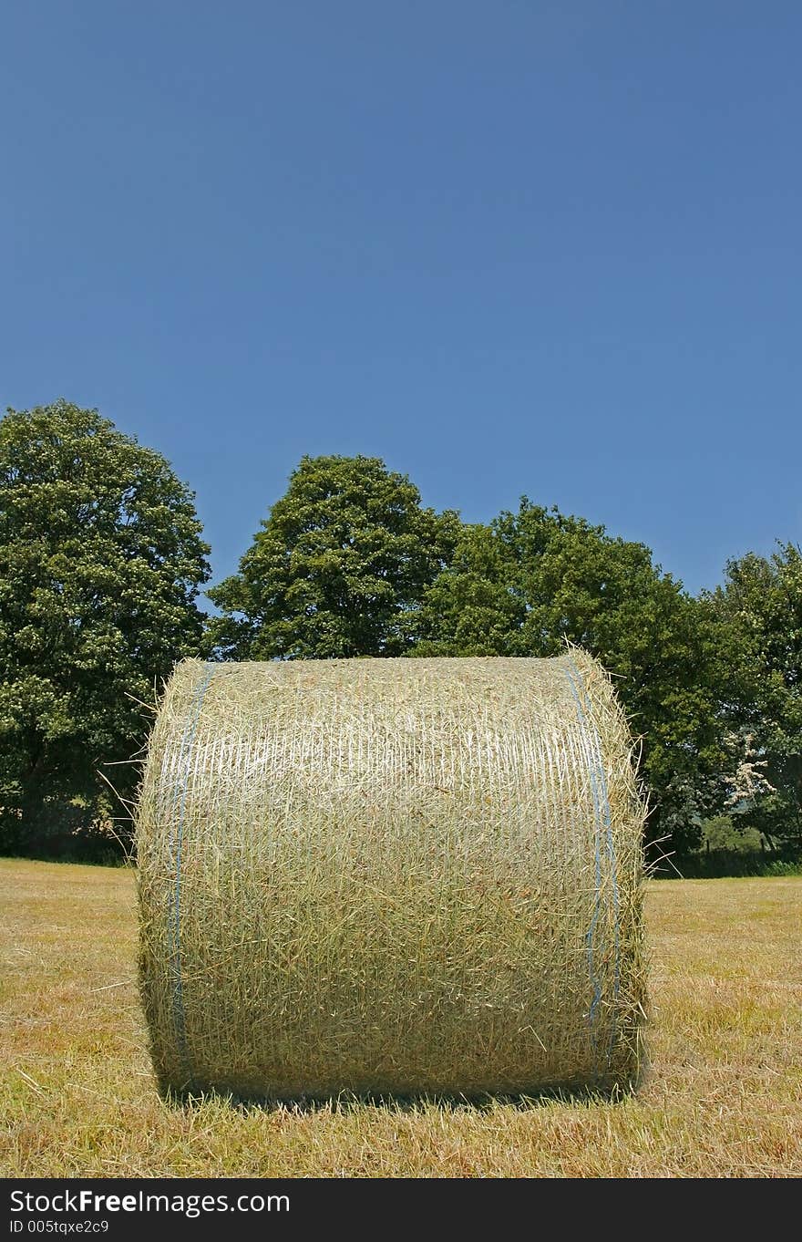 Wrapped organic hay bale standing in a field in summer, with trees and a blue sky to the rear. Wrapped organic hay bale standing in a field in summer, with trees and a blue sky to the rear.