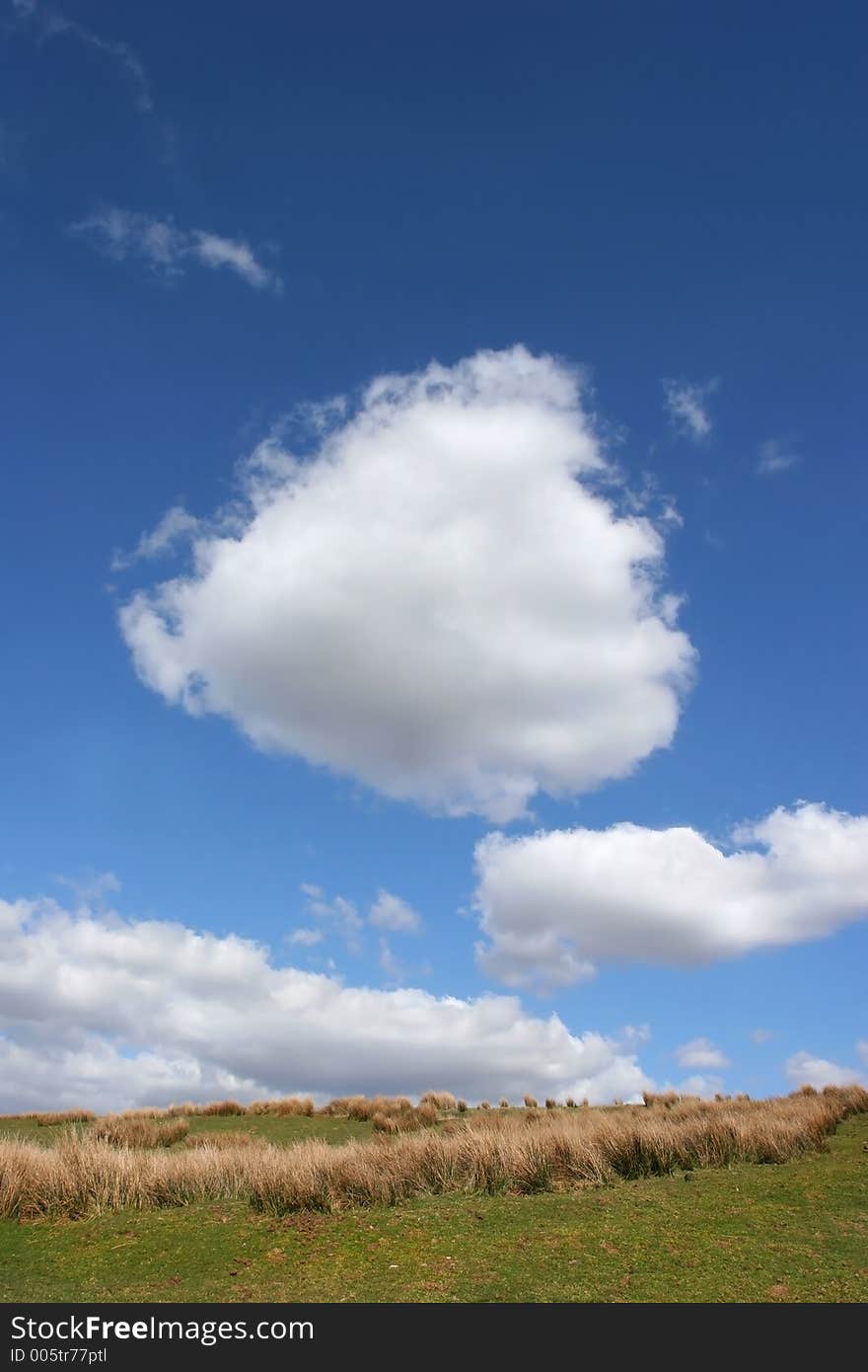 Grass and reeds in spring, against a blue sky with cumulus clouds. Grass and reeds in spring, against a blue sky with cumulus clouds.