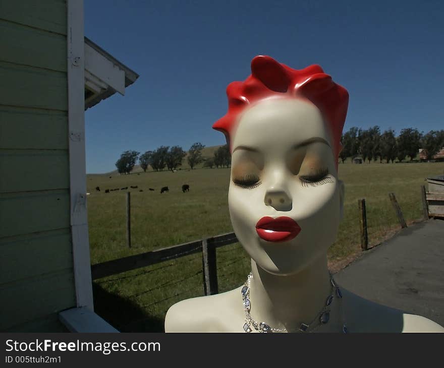 A ruby-lipped shop mannequin waits for a kiss while cows graze in the background. A ruby-lipped shop mannequin waits for a kiss while cows graze in the background.