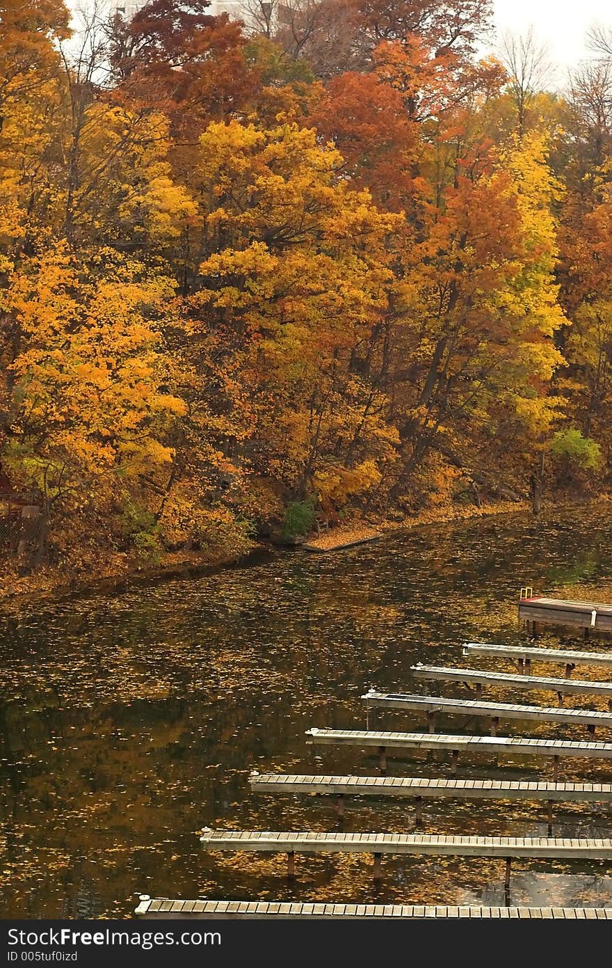 Docks in harbour bend along creek in fall. Docks in harbour bend along creek in fall