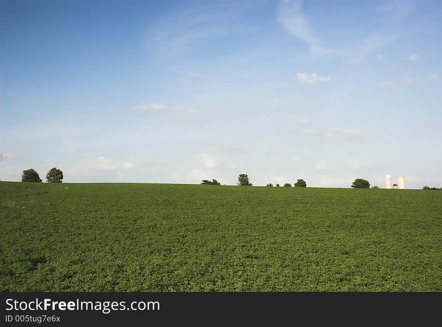 Blue sky over farm