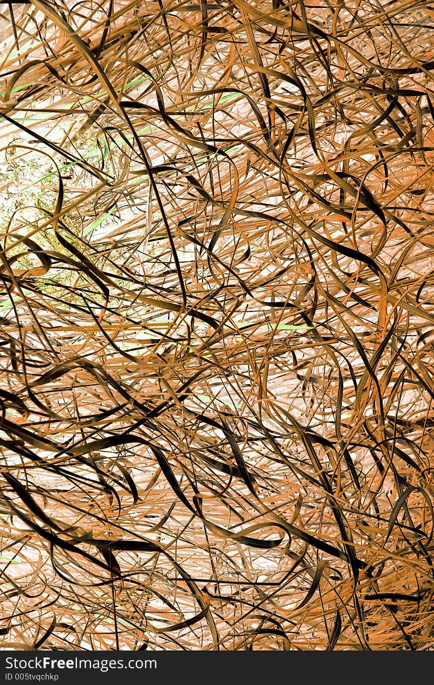 Abstract of dried grasses. Abstract of dried grasses